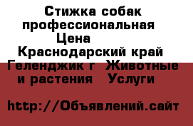 Стижка собак профессиональная › Цена ­ 650 - Краснодарский край, Геленджик г. Животные и растения » Услуги   